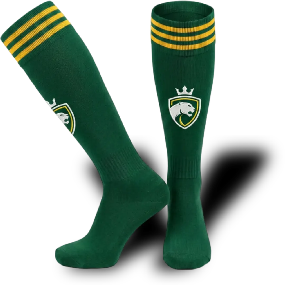 Polines Personalizados escudo Lions FC granate